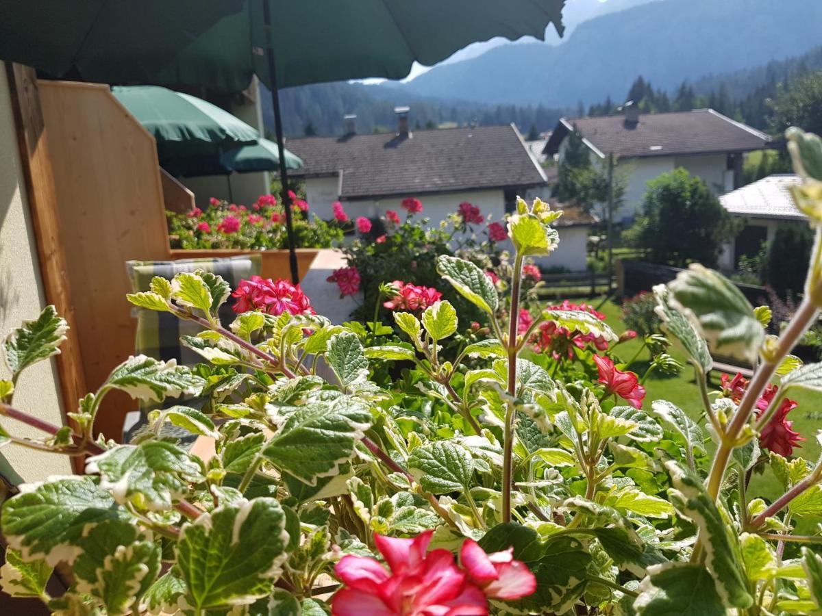 Gaestehaus Schoeneweiss Ehrwald Exteriör bild
